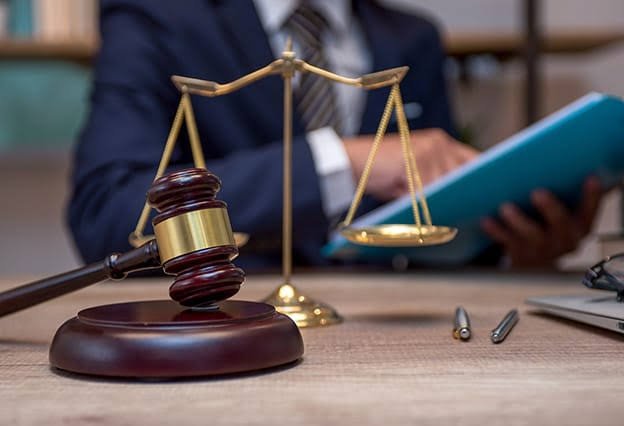 Legal professional reviewing case documents